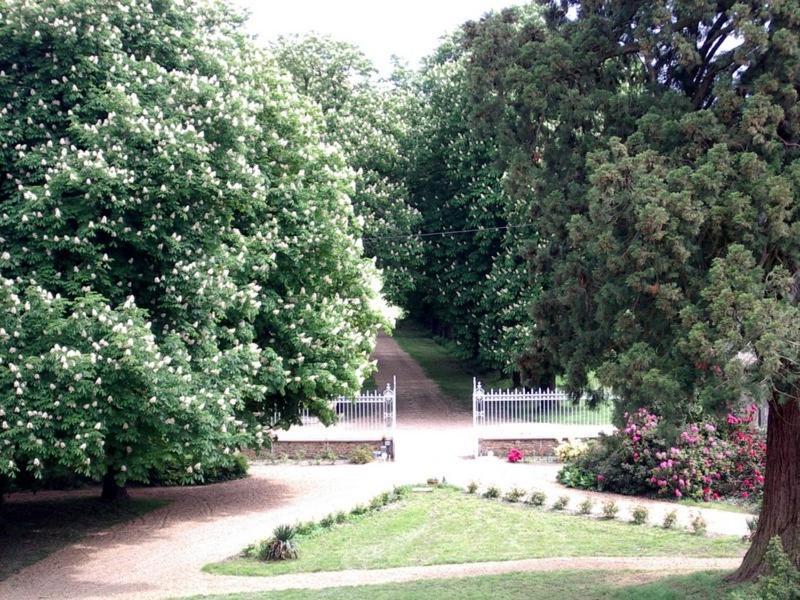 Chateau De Montbraye Parigné-lʼÉvêque 외부 사진